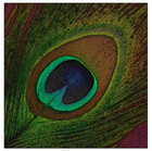 Picture for song 'Bollywood song' by artist 'Pisces Projekt'