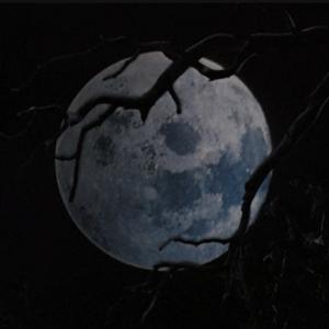 Picture for song 'PLUGGits you shouldn't care? (Buy 1 Get 2 FREE)' by artist 'pluggits'