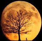 Picture for song 'Turn On The Moon -Instrumental' by artist 'Priceless Music'