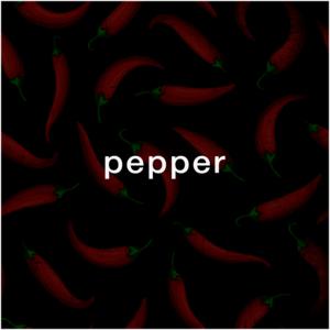 Picture for song 'Pepper (Boom Bap x Piano)' by artist 'Puls Ever'