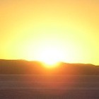 Picture for song 'House Of The Risin Sun' by artist 'REAL DON OF BEATS'