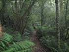 Picture for song 'The Path (Solo)' by artist 'Rock On Songs'