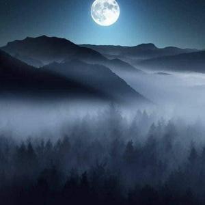 Picture for song 'BLUE (Joni Mitchell cover feat. Clare Steffen)' by artist 'Round The Globe'