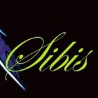 Picture for song 'DJ ONE - Haps' by artist 'SIBIS'