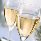 Picture for song 'Trav Wellz Energizer II - Cameo' by artist 'SluggaBeatz'