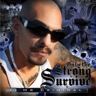 Picture for song '*NEW* Criminal Boogie (FREE DL)' by artist 'Sno Storm Productions (FKA Sno State Records)'