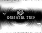 Picture for song 'TDT - Oriental Trip' by artist 'TDT Music'