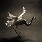 Picture for song 'Paper Birdz (SOLD)' by artist 'The Beat Brigade'