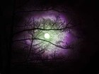 Picture for song '21 grams.mp3' by artist 'The Roberts Project'