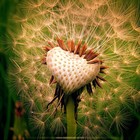 Picture for song 'Memories snip - Treasure Box' by artist 'Treasurebox'