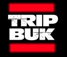 Picture for song 'Tripbuk- Fallen Star' by artist 'trip buk'