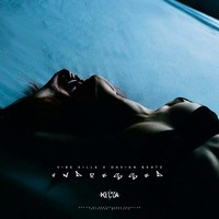 Picture for song 'Undressed x Davian Beatz' by artist 'VIBE KILLA'