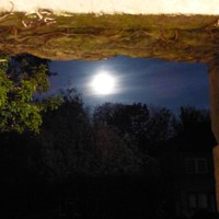 Picture for song 'Moonshine' by artist 'Viking Blues'