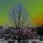 Picture for song 'Evolution' by artist 'vilbe'