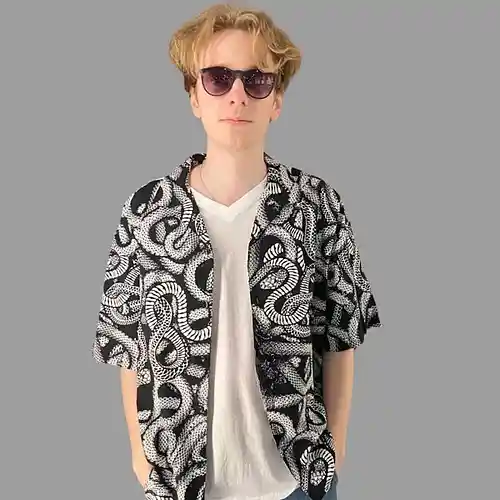 Artist picture