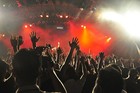 Picture for song 'Unforgivin "SOLD"' by artist 'Wayne On A Beat'