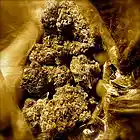 Picture for song 'Cloud Nine (Prod. By Yung Lijah)' by artist 'Yung Lijah Beatz'