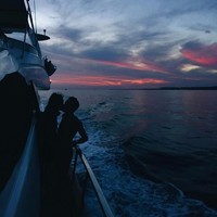 Picture for song 'Erase' by artist 'ZERO FUX WORLD'