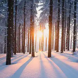 Picture for song 'Cold Summer (Buy 1 Get 4 FREE)' by artist 'BenzMuzik'