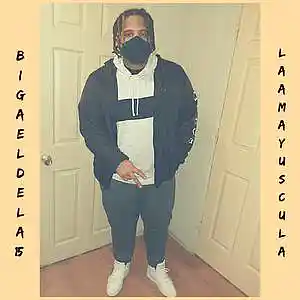 Picture for song 'Bigaeldela15 - Aqui Se Vive De Los Juideros' by artist 'Bigaeldela15'