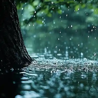 Picture for song '14_When The Rain Sticks_Clint Lavens' by artist 'Clint Lavens'