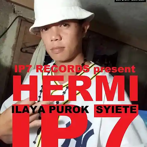 Picture for song 'Ayaw pagboot' by artist 'Hermi'