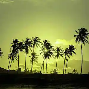 Picture for song 'Journey to Palm lake: 2-Going, 3-There is Emmo' by artist 'Jav Grojas'