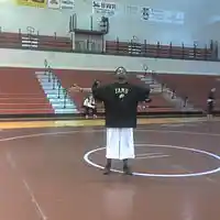 Picture for song 'Logic Bombs' by artist 'Ningadragonrecords'