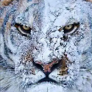 Picture for song 'Plottin' by artist 'Philosopha Beats'