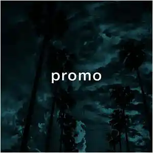 Picture for song 'Promo (Boom Bap)' by artist 'Puls Ever'