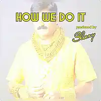 Picture for song 'How We Do It' by artist 'RealSleezy'