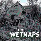 Picture for song 'Don't Know Why' by artist 'The WETNAPS'