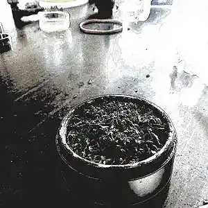 Picture for song 'Martial Lockdown' by artist 'Beat Masta Cheese'