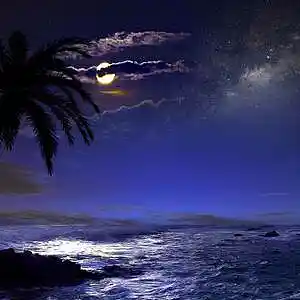 Picture for song 'MIDNIGHT LOVE RIO BEACH' by artist 'Dr. Bob's Jazz - Benefit Boppin' Quartet - JBBQ'