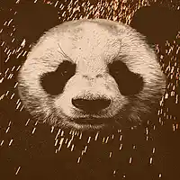 Picture for song 'Dirty Fanta' by artist 'Foreign Made It'