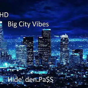 Picture for song 'Big City Vibes' by artist 'Hide den PaSS'