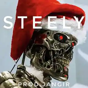 Picture for song 'Steely' by artist 'Jangir Beats'