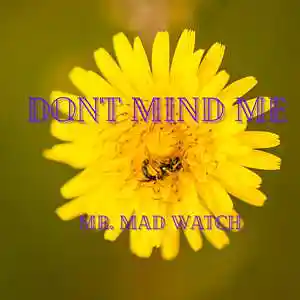 Picture for song 'Don't Mind Me (no Hook)' by artist 'Mr. Mad Watch'