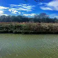 Picture for song 'Untitled' by artist 'Rasam'