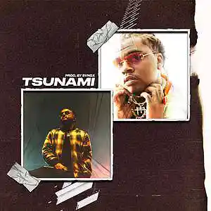 Picture for song 'TSUNAMI - Lil Baby + Lil Keed + Lil Goti Type Beat' by artist 'sange beats'