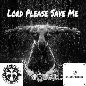 Picture for song 'LORD PLEASE SAVE ME' by artist 'Snowbyrd'