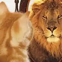 Picture for song 'delusion-beatsbykayready' by artist 'Beats by KayReady'