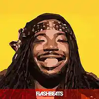 Picture for song 'Nasty' by artist 'FlashBeats.net'