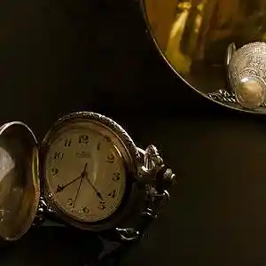 Picture for song 'Natureking-timeless' by artist 'Natureking'