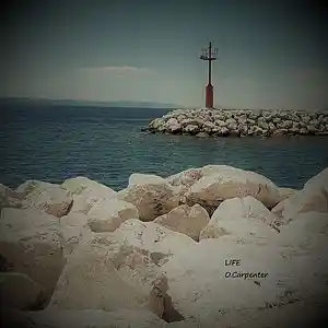 Picture for song 'Life' by artist 'O.Carpenter'