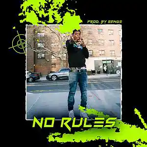 Picture for song 'Toosii x Li Tjay x Lil Durk Type Beat - No Rules' by artist 'sange beats'