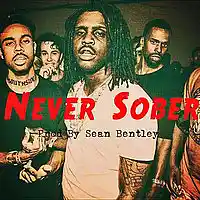 Picture for song 'nEVER SoBER x New Futuristic *HIT* (Free DL)' by artist 'Sean Bentley'