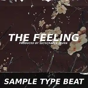 Picture for song 'Sampled Base Type Beat - The Feeling' by artist 'Skyscraper Seven'