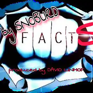 Picture for song 'FACTS BY SNOBURD produced by David Linhof' by artist 'SNOBURD'