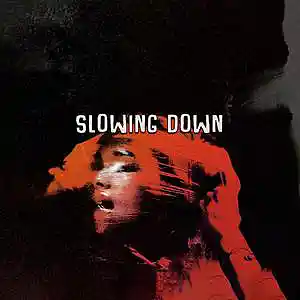 Picture for song 'Slowing Down (Emo Rock x Grunge Core Type Beat)' by artist 'Wolevsky'